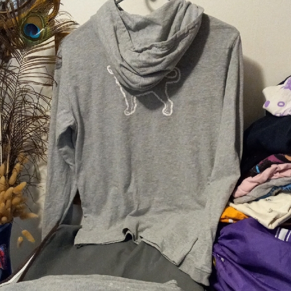 The Black Dog Classic Gray Hoodie - Picture 3 of 7